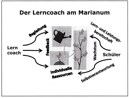 Schaubild